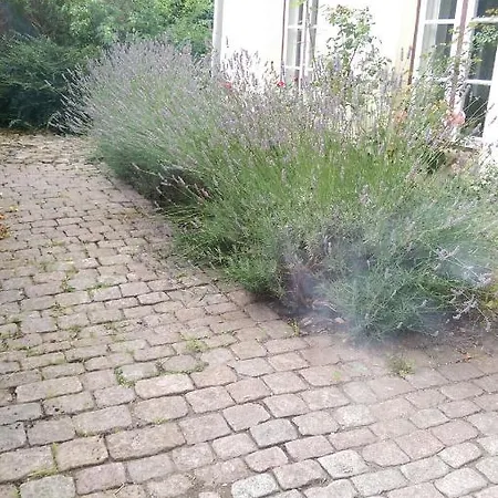 Apartment Im Einhornhaus